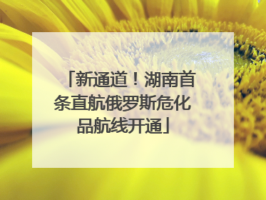 新通道！湖南首条直航俄罗斯危化品航线开通